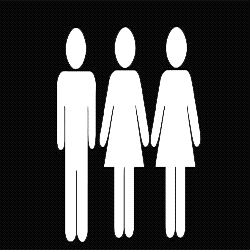 Qual é o veredicto islâmico sobre poligamia?